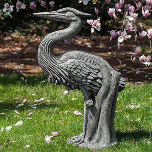 Campania Heron