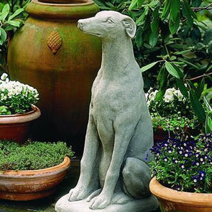 Campania Greyhound